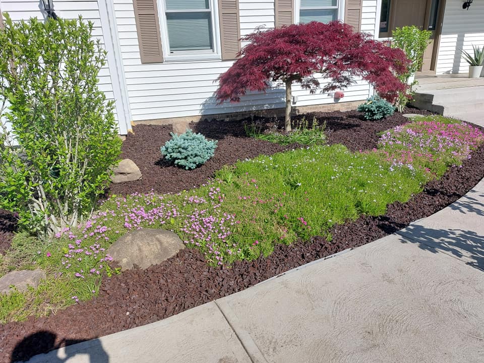 Flower bed renovation